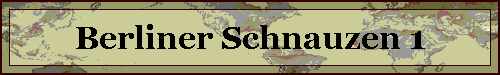 Berliner Schnauzen 1