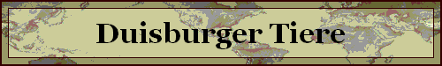 Duisburger Tiere