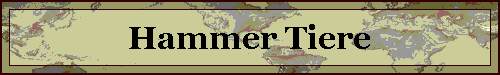 Hammer Tiere