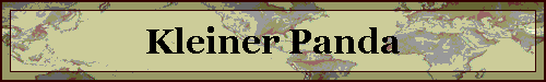 Kleiner Panda