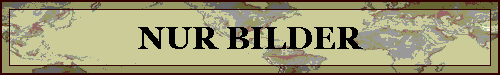 NUR BILDER