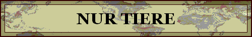 NUR TIERE