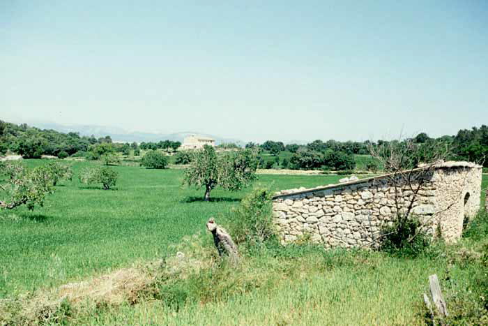 Irgendwo auf Mallorca