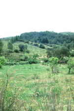 Irgendwo auf Mallorca