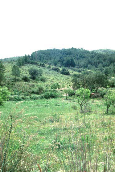 Irgendwo auf Mallorca