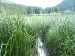 Am Spitzingsee