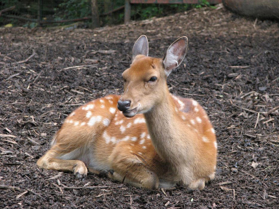 In der Ruhe liegt die Kraft