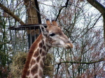 Zoo Dortmund