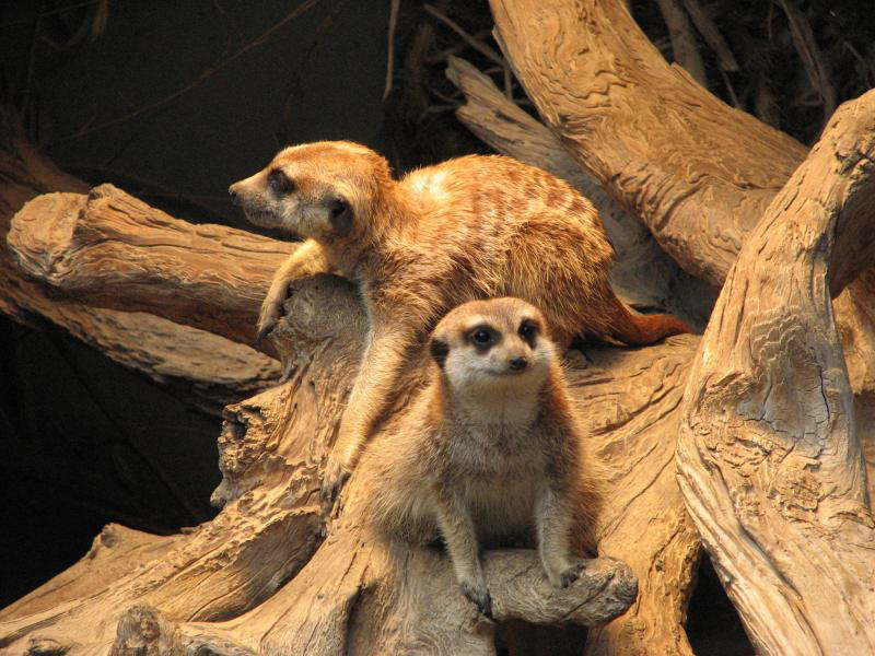 Noch mehr relaxte dortmunder (DO)