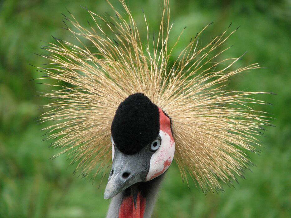 Oder besser von vorn