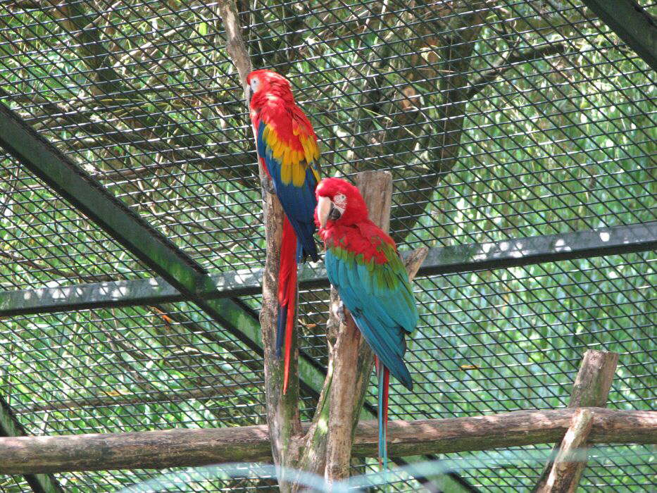 Alles so sch�n bunt hier