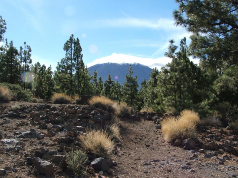 Teide 1