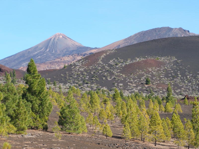 Teide von Westen