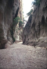 Torrent de Pareis