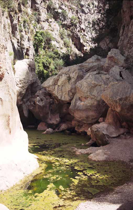Torrent de Pareis