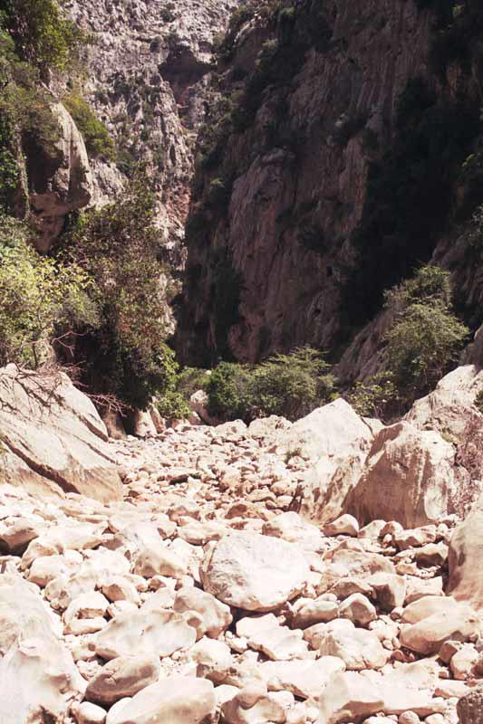 Torrent de Pareis
