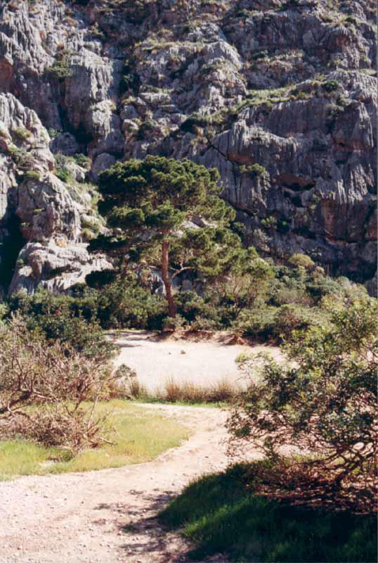 Torrent de Pareis